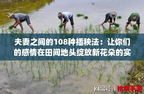 夫妻之间的108种插秧法：让你们的感情在田间地头绽放新花朵的实用攻略