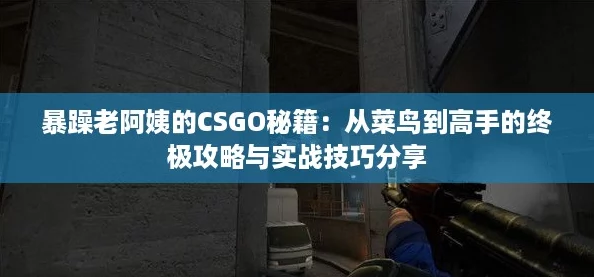 暴躁老阿姨的CSGO秘籍：从菜鸟到高手的终极攻略与实战技巧分享