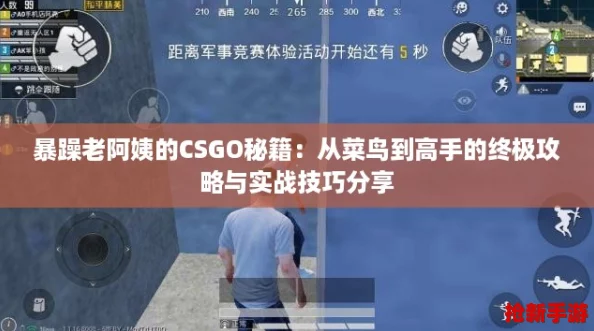 暴躁老阿姨的CSGO秘籍：从菜鸟到高手的终极攻略与实战技巧分享