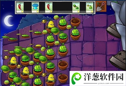 植物大战僵尸2存档版13