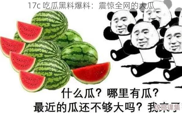 17C吃瓜网官网