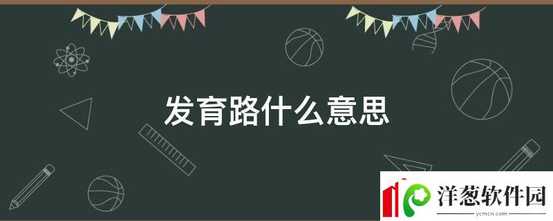 发育路是个啥玩意儿解剖这谜之线路的幽默自嘲