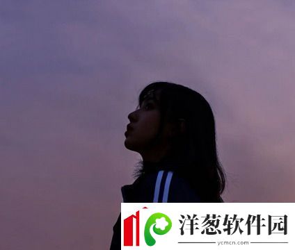 番茄影视大全在线观看免费版