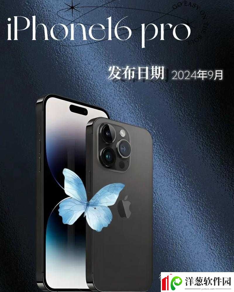 中国成熟IPHONE