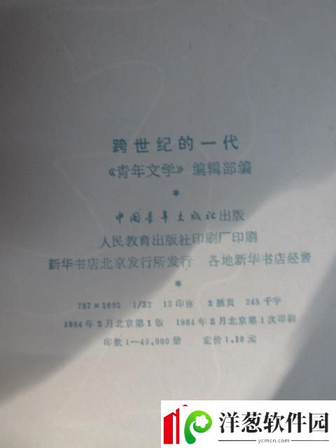 跨越时代的辉煌一刻——哪一年真正迎来了跨世纪的风华绝代