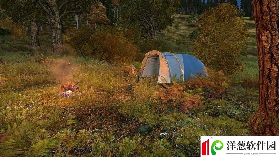 DayZ帐篷的多种用途详细介绍及其重要作用解析