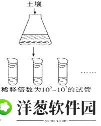 PDB培养基