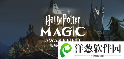 哈利波特魔法觉醒图片